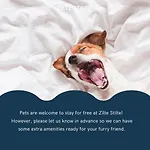 Lejlighed Zilte Stilte *