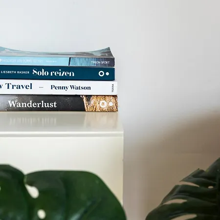 Zilte Stilte Lejlighed