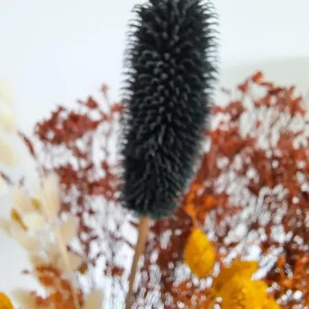 Lejlighed Zilte Stilte