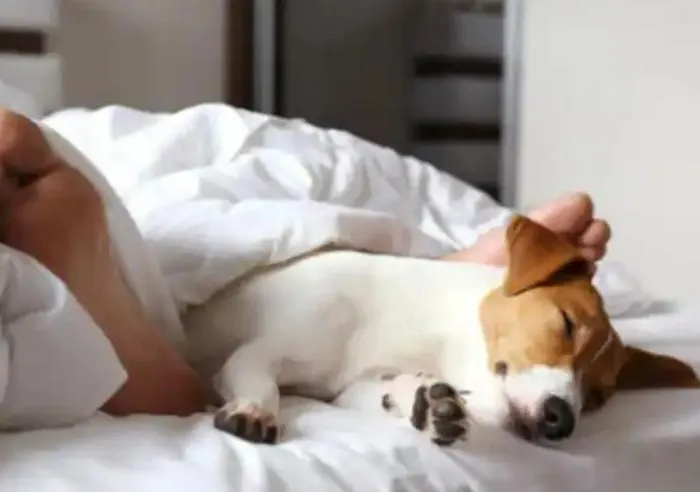 Apartamento Zilte Stilte Ostend