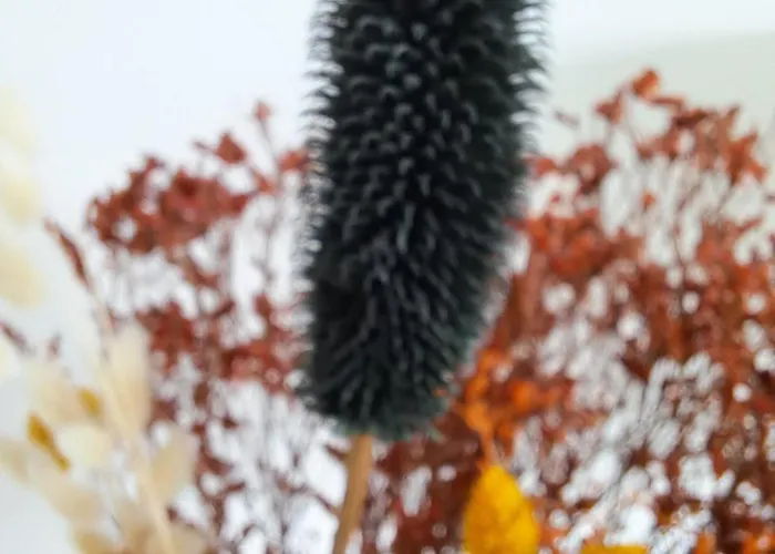 Apartamento Zilte Stilte