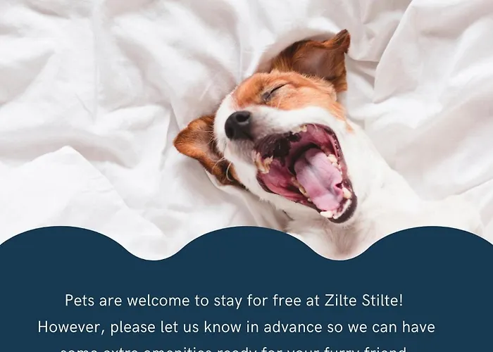 Apartamento Zilte Stilte *